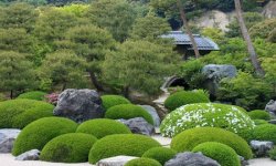 Создание японского сада