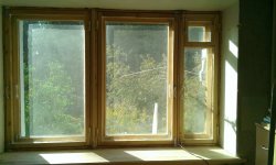 Почему появляется плесень на деревянных окнах и как от нее избавиться