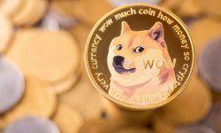 Dogecoin: неделя невероятного роста и его причины