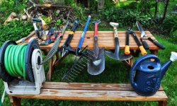 Самые необходимые инструменты в саду