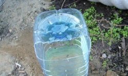 Капельное орошение грядок с помощью пластиковых бутылок