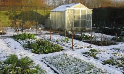 Как обустроить сад зимой
