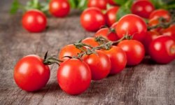 Секреты хорошего урожая томатов