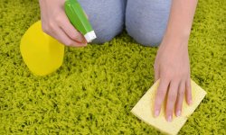 Чем лучше чистить ковровое покрытие